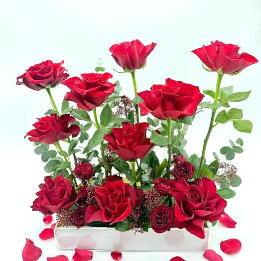 Любовь Шарики Красная Роза