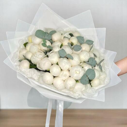 فاوانيا بيضاء فاخرة