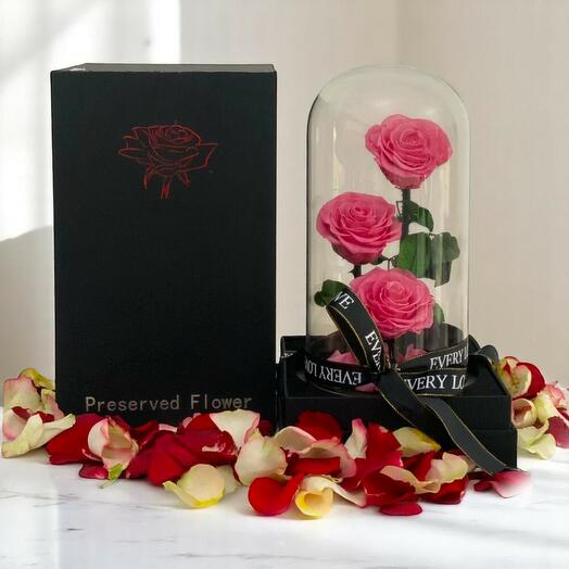 Forever Trilogy Dome – Preserved Ecuadorian Roses Gift Box