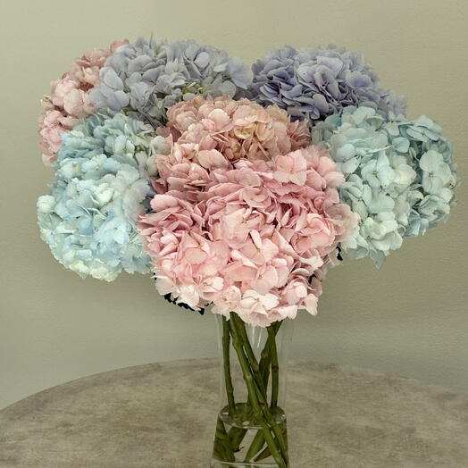 Mix hydrangeas