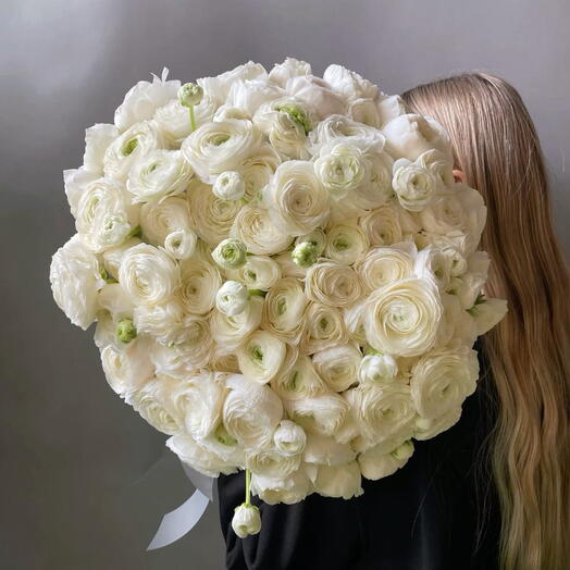 Ranúnculo blanco 80 tallos