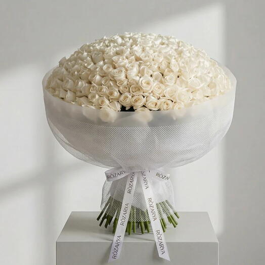 White Roses: The Majestic Pearl XXL