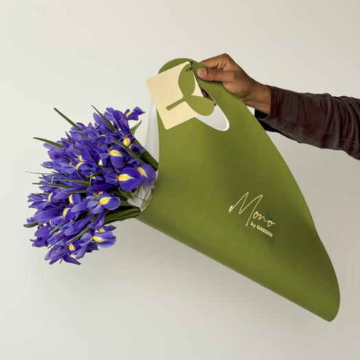 Irises (25 pcs)