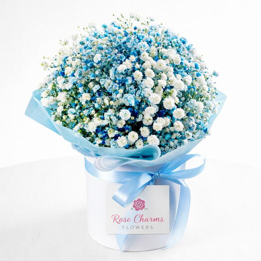 Snow   Sky 15 – Gypsophila Box