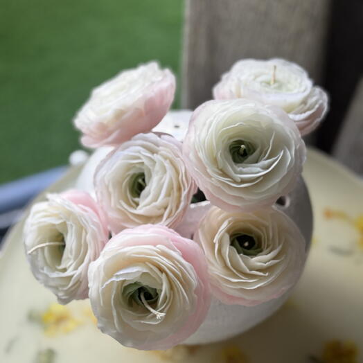 زهور رانونكولوس من شمع النحل في مزهرية