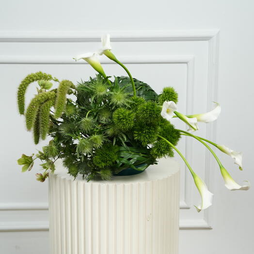 Fresh Green Calla Arrangement