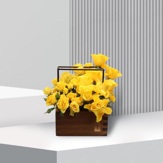 Sol Lakewood - Small