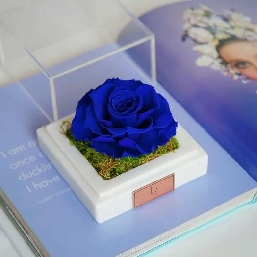 Marble Blue Infinity Single