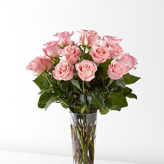 P  Pink rose in vase