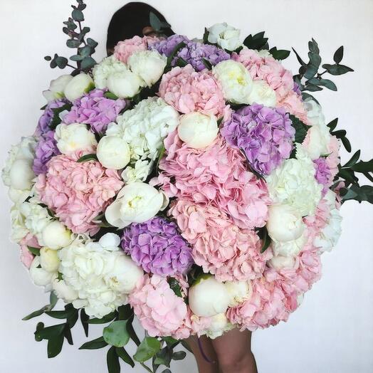30 Hydrangea and 35 Peonies