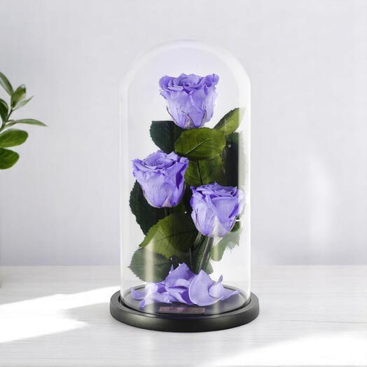 Фиолетовые стабилизированные розы в трио из стеклянных колпаков