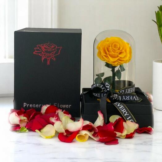 Вечная жёлтая роза в стеклянном куполе – консервированная эквадорская роза в подарок