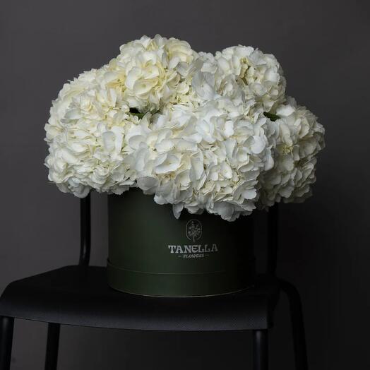 Ванильное облако