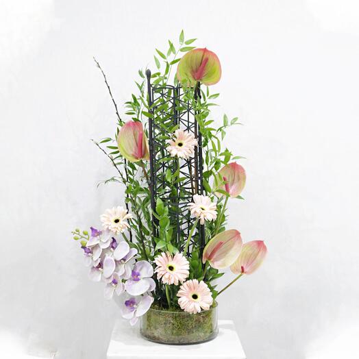 The Modern Trellis Anthurium symbolizes exotic beauty)