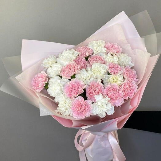 Carnation cloud dreamy