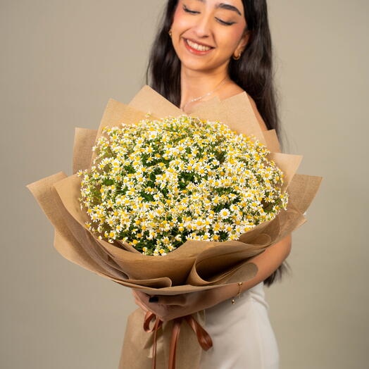 Campos de margaritas