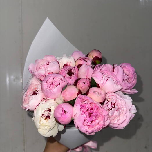 19 Peonies