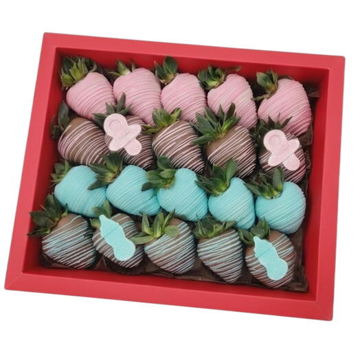 GENDER REVEAL BOX - LARGE