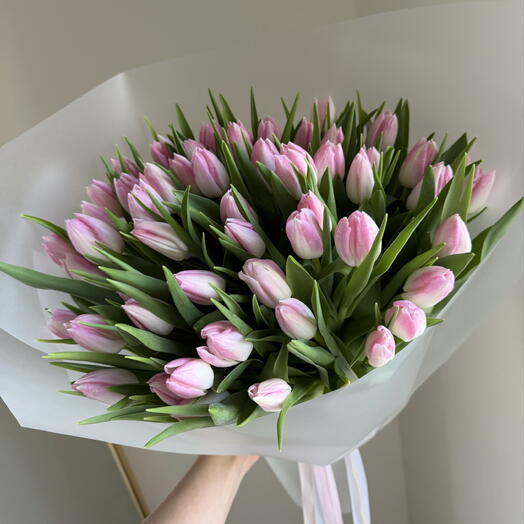 باقة أحادية من زهور التوليب الوردية