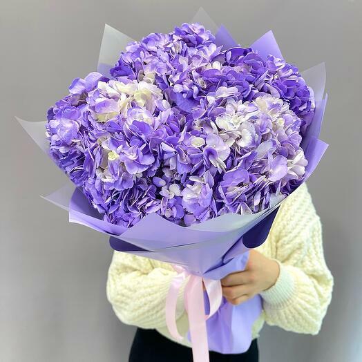 Лавандовая мечта