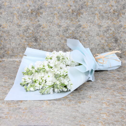 Ramo Susurro de Invierno