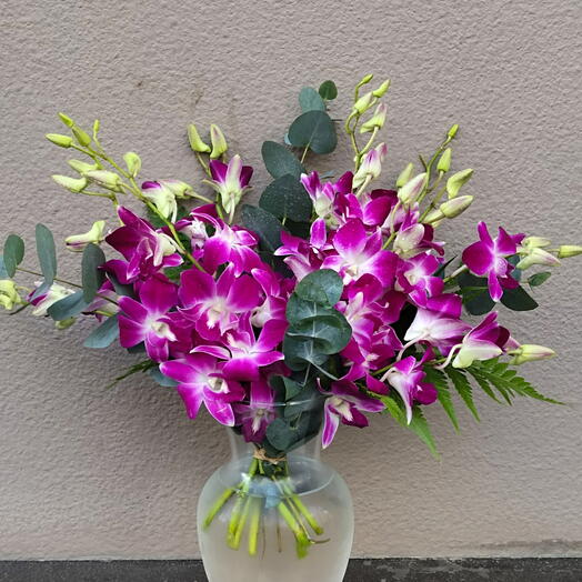 Orchids Vase:20 Stems Of Purple Orchids in a Glass Vase