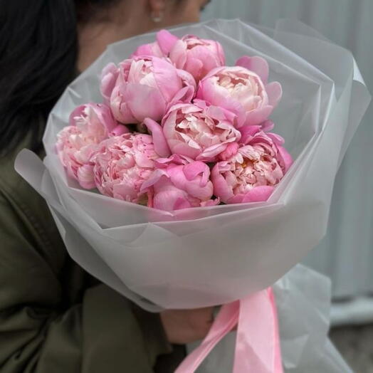 Piones (9pis)وصل حديثًا