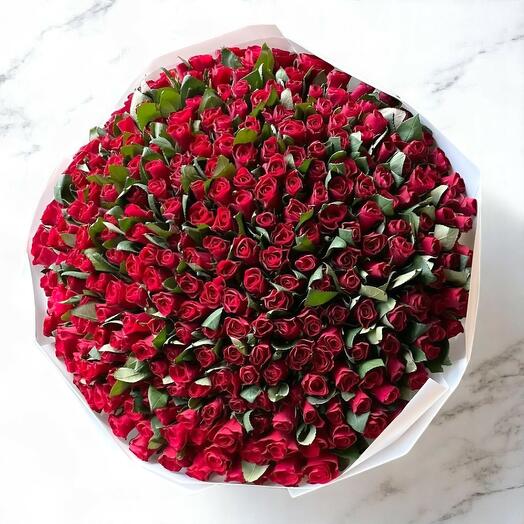 Букет Sadg – 69 красных мини-роз в элегантной белой упаковке