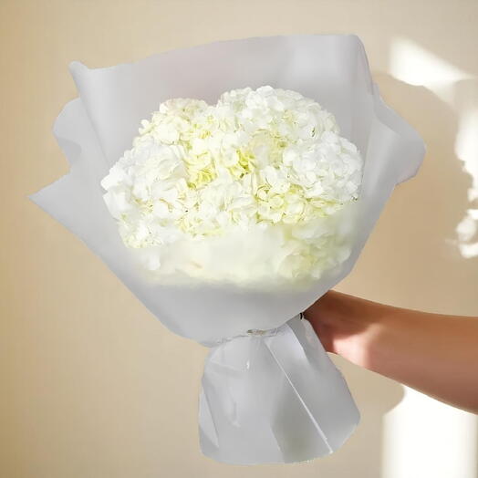 Belleza Blanca Elegancia