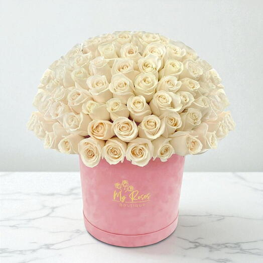 Розовая бархатная коробка с 100 белыми розами