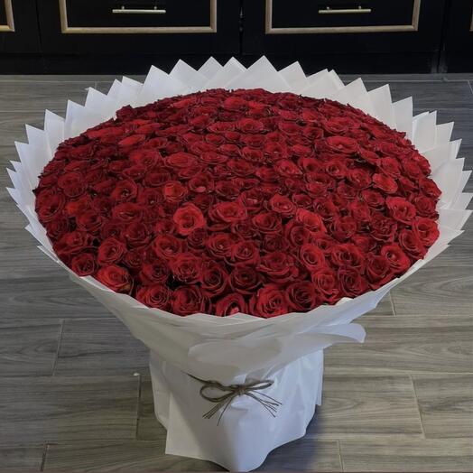 151 Bouquet de roses rouges (P)