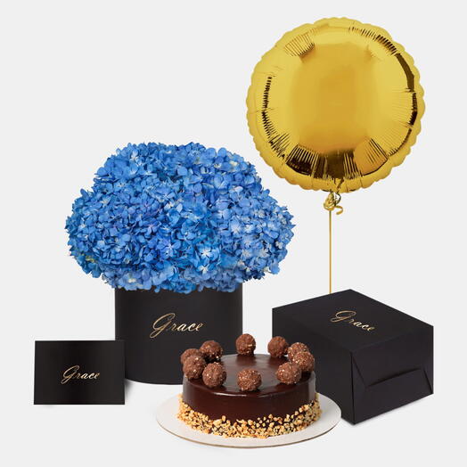Blue Hydrangea in Box with Ferrero Cake Bundle