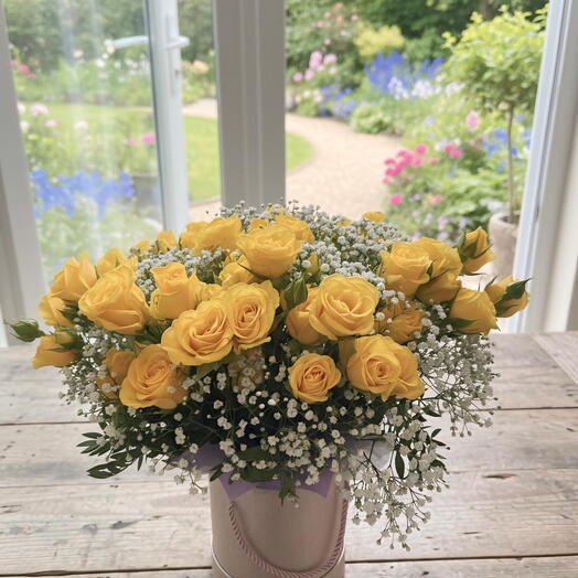 صندوق أحلام الشمس