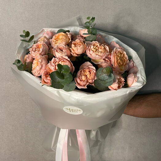 Джулиата Элеганс