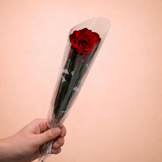 Single stem rose - Red