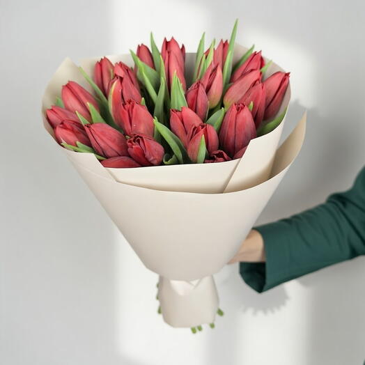 Алая энергия - 25 красных тюльпанов