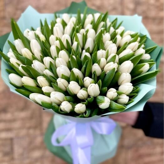 101 White tulip