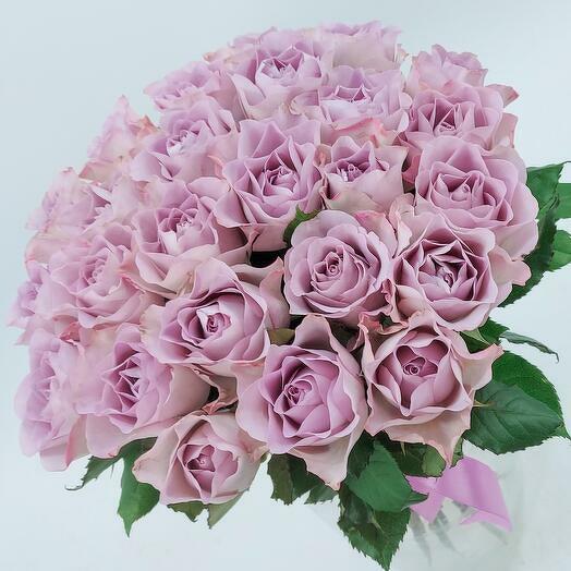 25 Memory Lane lilac roses