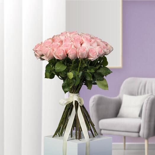 51 Light Pink Roses Ribbon