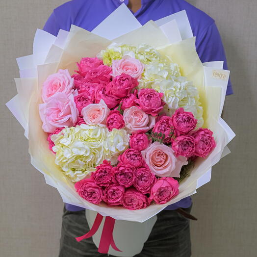 Graceful Melody-1651