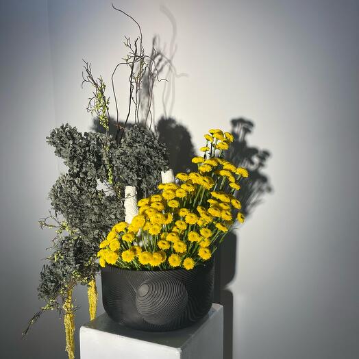 Солнечные цветы