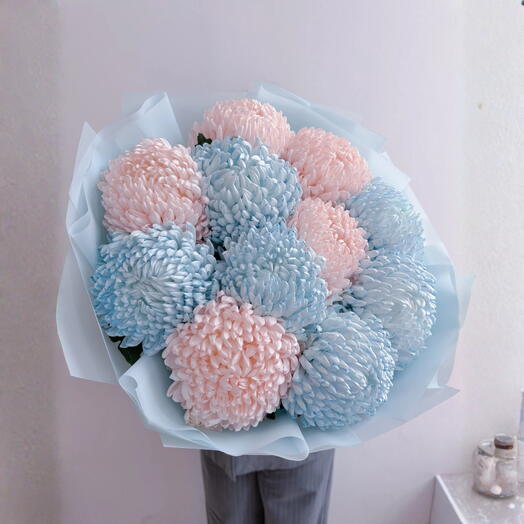 Блю Ми Эвей- голубая хризантема и персиковая хризантема