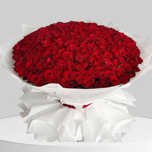 Пышный и роскошный букет из 501 красной розы