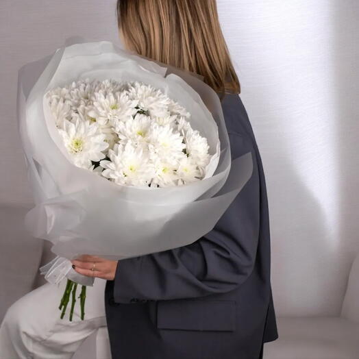 Элегантная белая хризантема