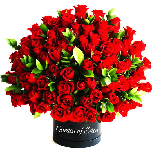 101 Red Roses – Valentine s Love Statement