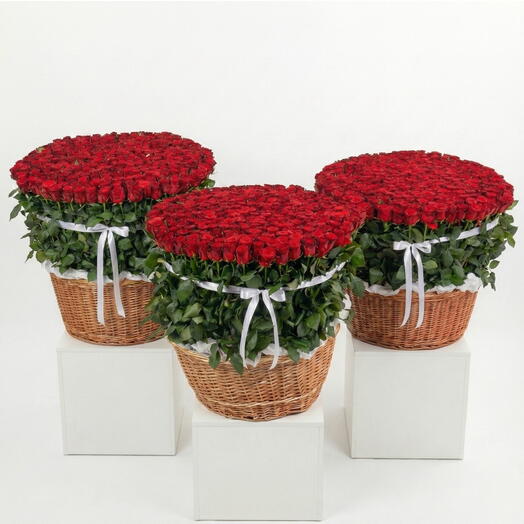 Корзины с красными розами 201 × 3 : Без слов