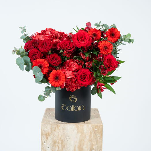 Sorpresa de amor rojo