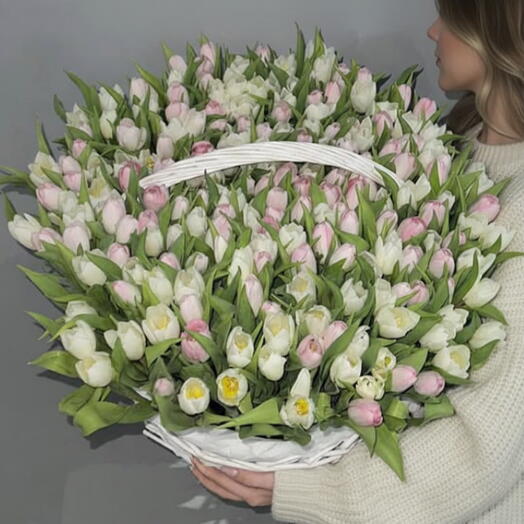 201 Корзина белых и розовых тюльпанов