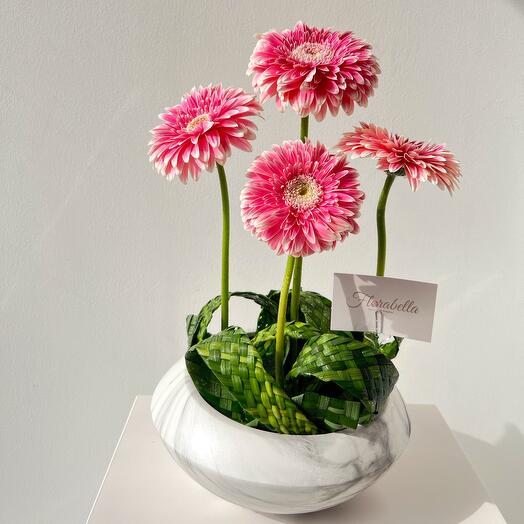 Gerbera pink with weaving