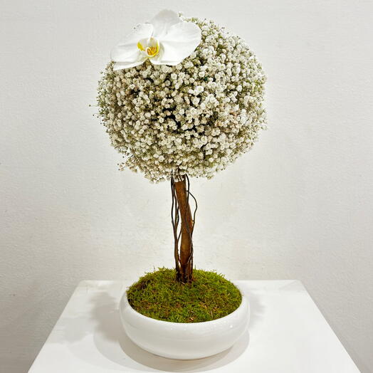 Gypsophilia Arrangement